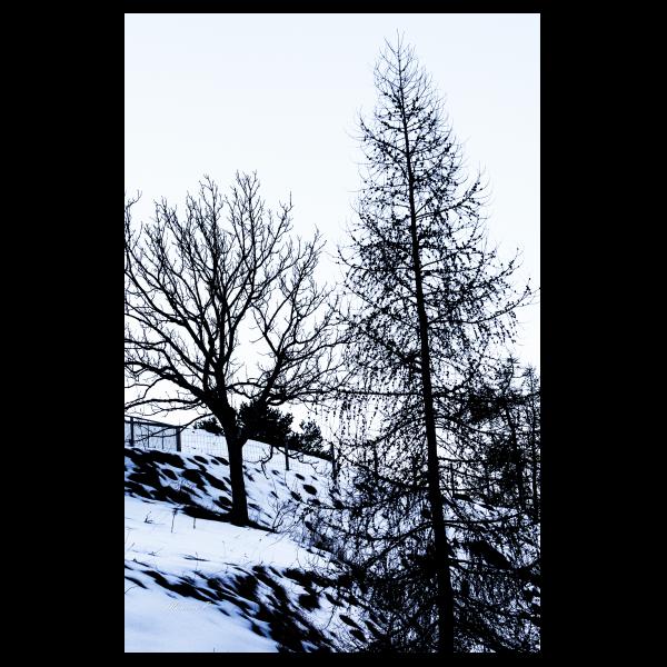 PHOTO84, CLUB, 84 , LUBERON